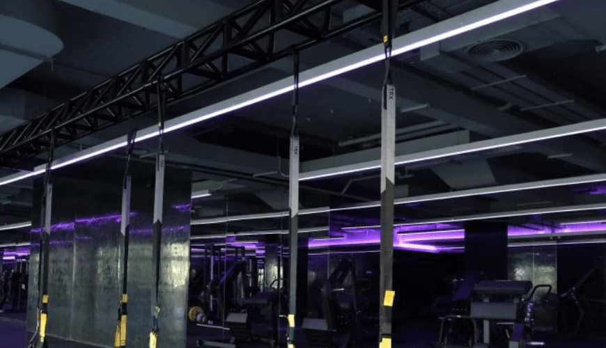 TOPGYM 5