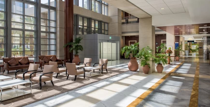 American Hospital 2