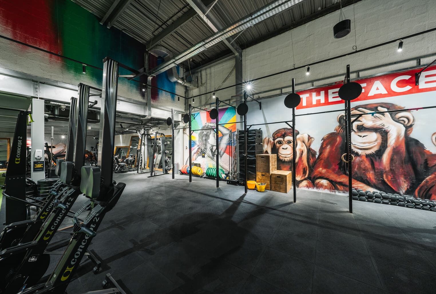 The Warehouse Gym 4